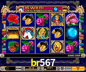 Roulette Table br567